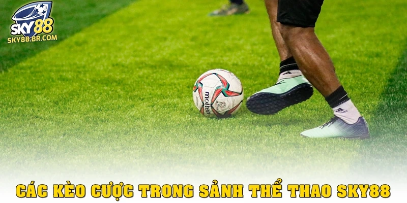 Thể Thao Sky88 3 Các kèo cược trong sảnh thể thao Sky88
