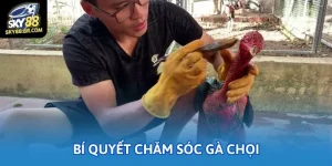 bi quyet cham soc ga choi