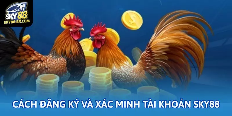 Đá gà Philippines Sky88: Tỷ lệ cược cao, ăn liền tay 2 Cách đăng ký và xác minh tài khoản Sky88