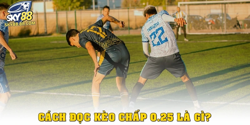 Cách đọc kèo chấp 0.25 là gì?