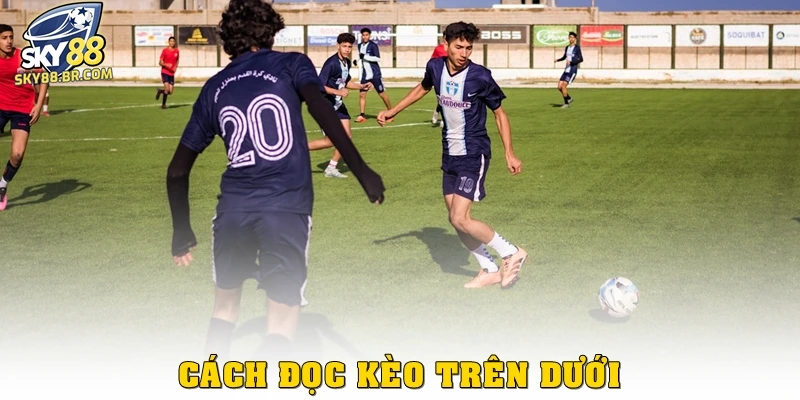 Cách đọc kèo trên dưới