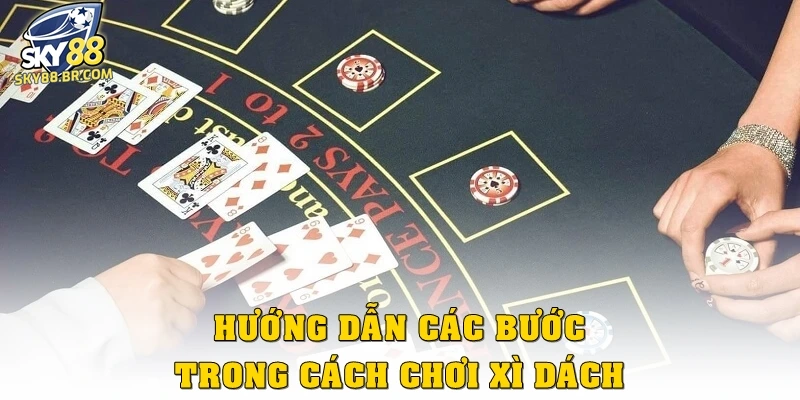 Hướng dẫn các bước trong cách chơi xì dách