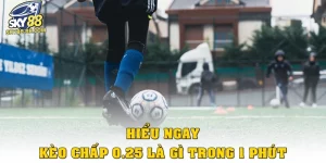 keo chap 0 25 la gi thumb