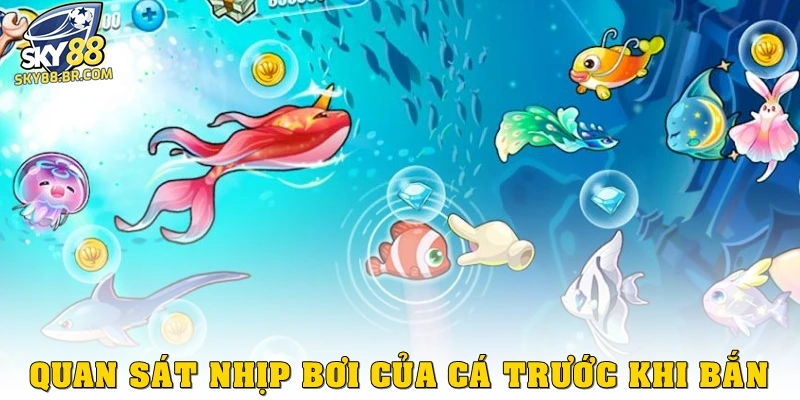 Quan sát nhịp bơi của cá trước khi bắn