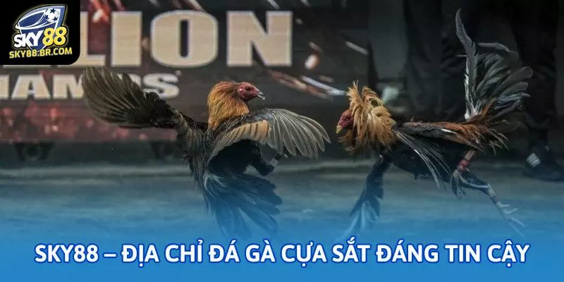 Sky88 – Địa chỉ đá gà cựa sắt đáng tin cậy của nhiều cược thủ